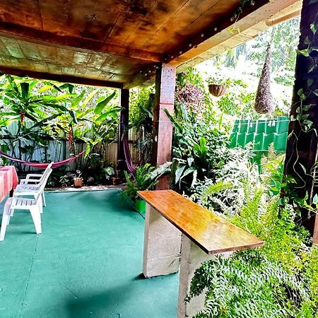 Natural Experience House Tortuguero Exteriér fotografie