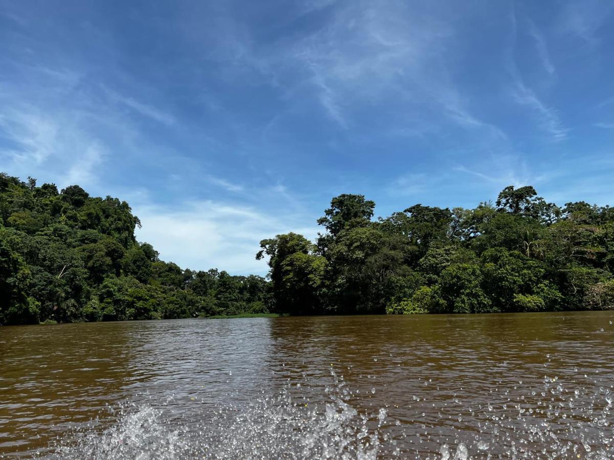 Natural Experience House Tortuguero Exteriér fotografie